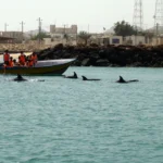 درباره جزیره هنگام (مقاله نمونه3)